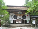 IMG_3731.JPG
