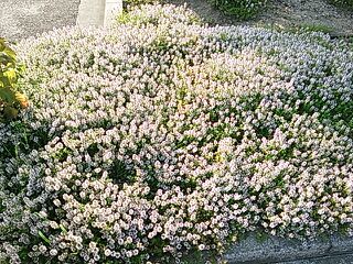 rblog-20140702210418-01.jpg