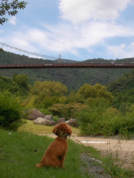 SANY0286_R.JPG