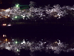 conv0110.JPG