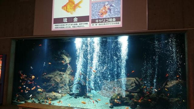 2015-06-12 19.03.54.jpg