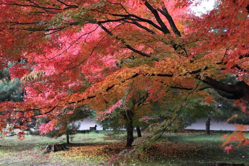 通天橋庭園_003.jpg