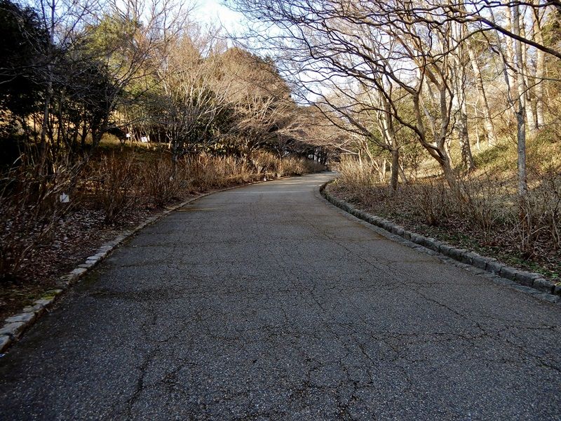 あじさい坂9