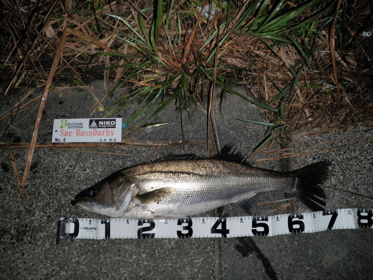 コンボイ君 4.JPG