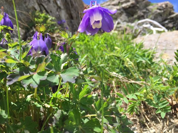 rblog-20170715052353-04.jpg