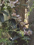 IMGP3406.jpg