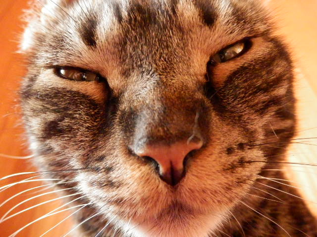 P4270096.JPG