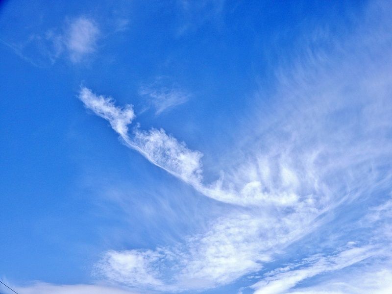 空4
