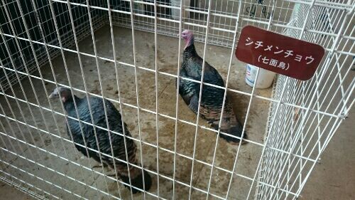 rblog-20161230225605-03.jpg