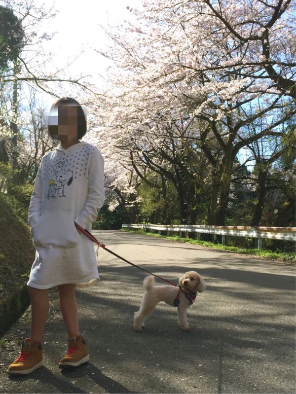rblog-20160405213500-04.jpg