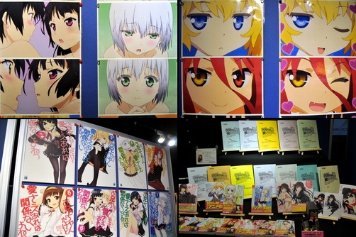 akiba130112i.jpg