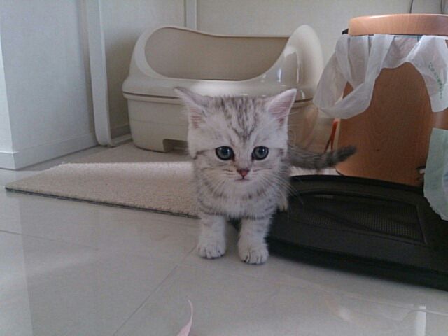 rblog-20140511164607-00.jpg