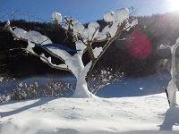PC180047.JPG