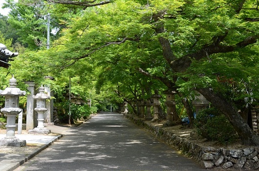 写真２.JPG
