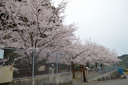 DSC_0097.jpg