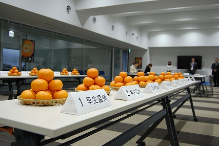 s-DSC_0001.jpg
