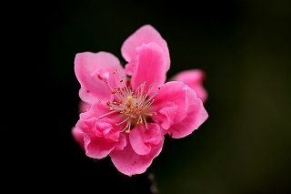 123