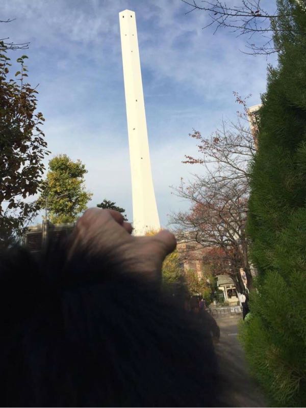 rblog-20161205115513-05.jpg
