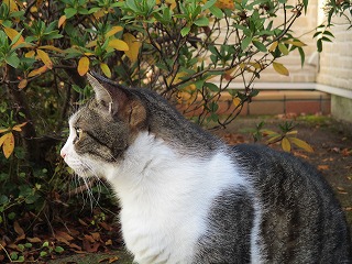 IMG_4434ss.jpg