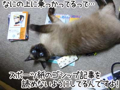 ちらし２.JPG