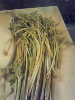 201205121716000.jpg