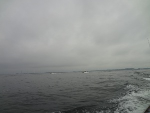 DSC02903.JPG
