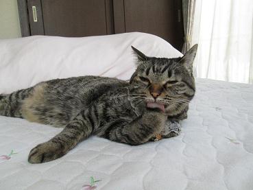 まだやる？