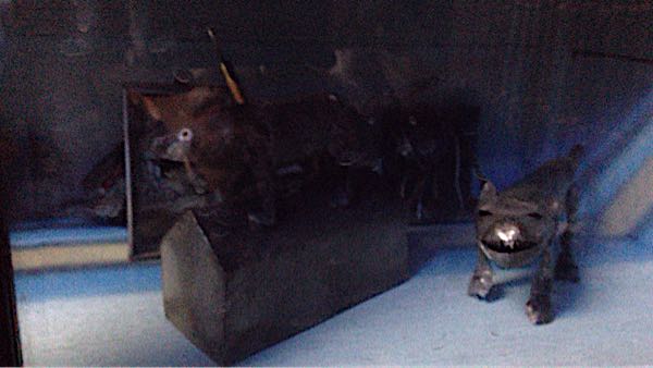 rblog-20170111133224-01.jpg