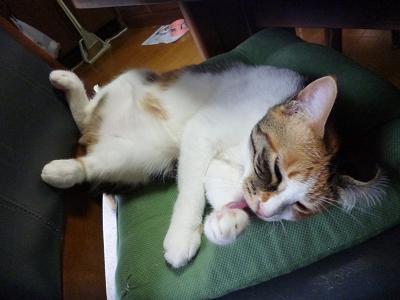 画像 308.jpg