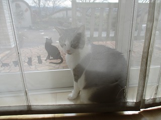 IMG_3804ss.jpg