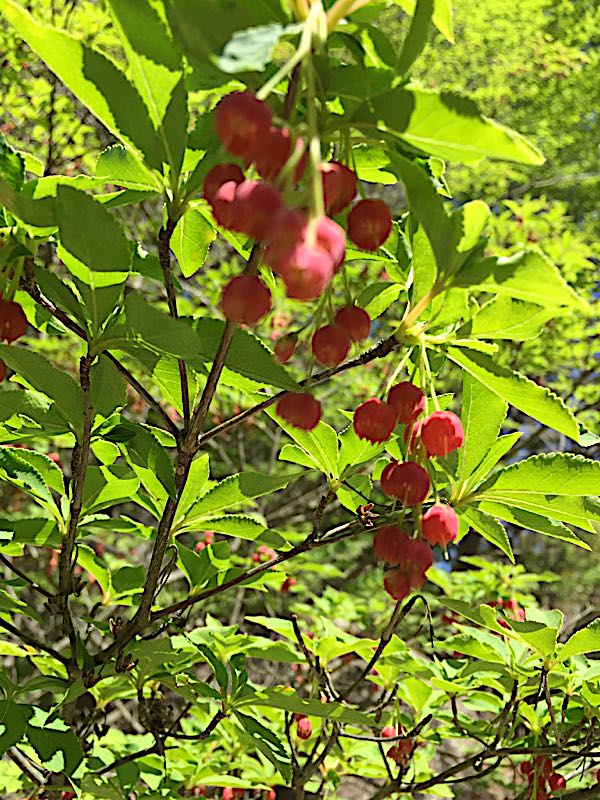 rblog-20181017095037-05.jpg