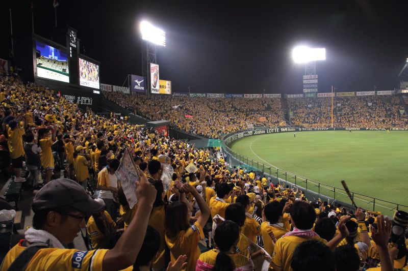 甲子園ナイター_013勝利に酔う外野スタンドフアン.jpg