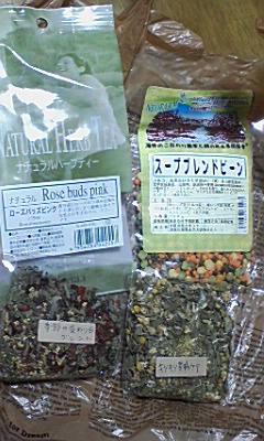 HIROBA×ハーブランドシーズン.JPG