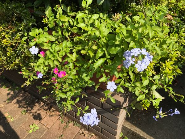 rblog-20170926173506-09.jpg