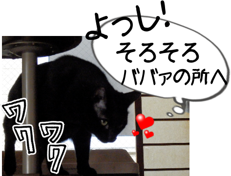 P1110116.png