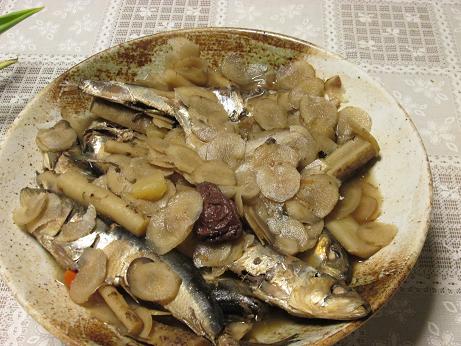 鰯と牛蒡130.jpg