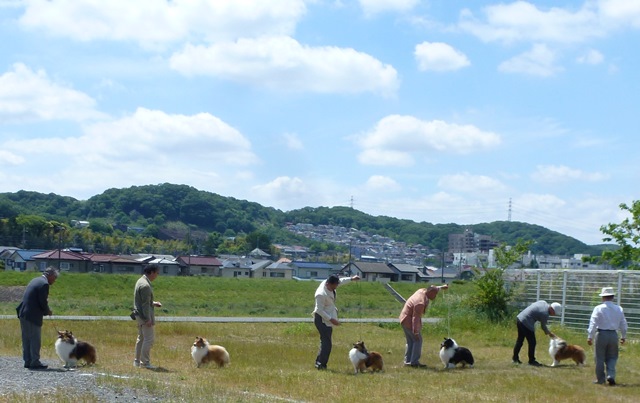 P1020481 - コピー.JPG