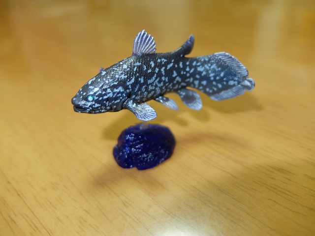 DSCF6431.jpg