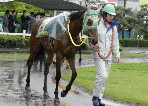 2012トウホクビジンかしわ記念.jpg