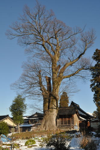 宮川　の　大けあき