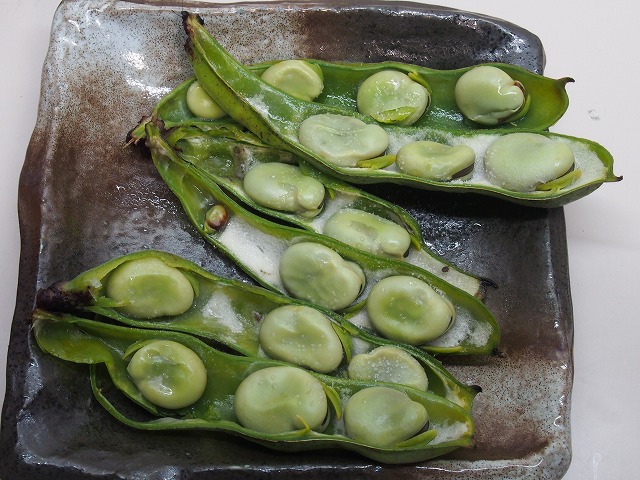 P5080007.jpg