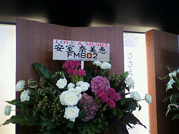 P1000115.JPG