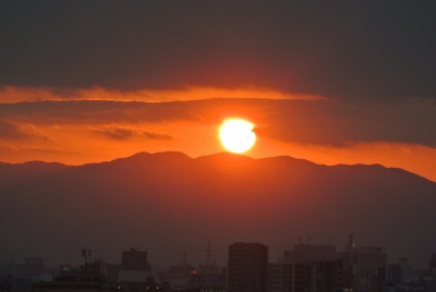 DSC_4793.jpg