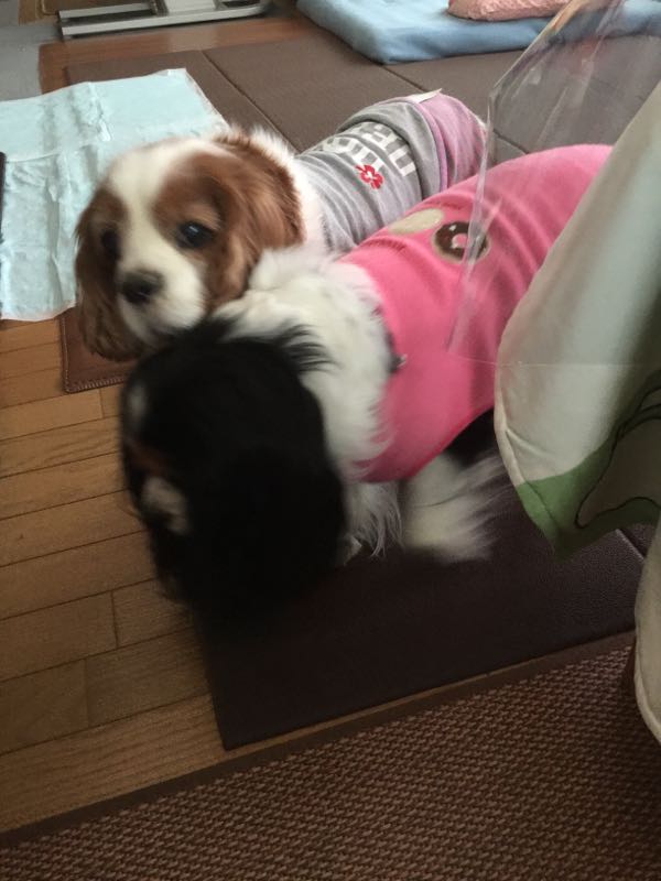 rblog-20160129131134-02.jpg