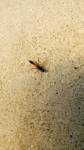 rblog-20180419150800-02.jpg