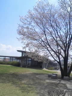 佐野城３の丸　３