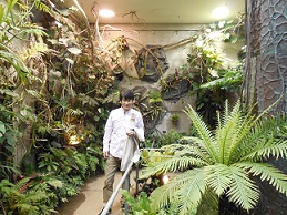 植物館・パパ.JPG