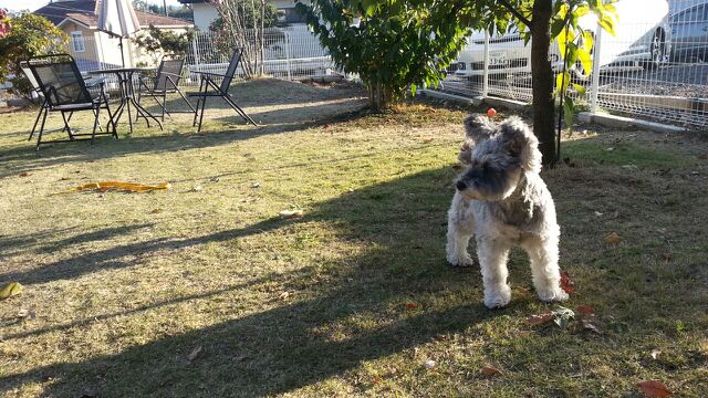 rblog-20141130170556-02.jpg