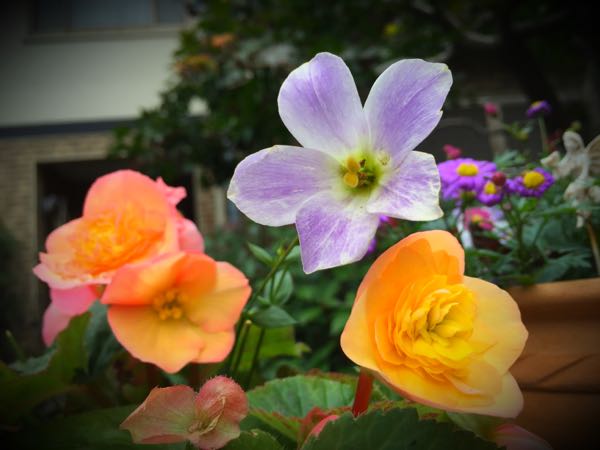 rblog-20151029145601-00.jpg