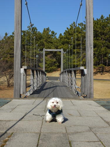 葛西臨海公園にて